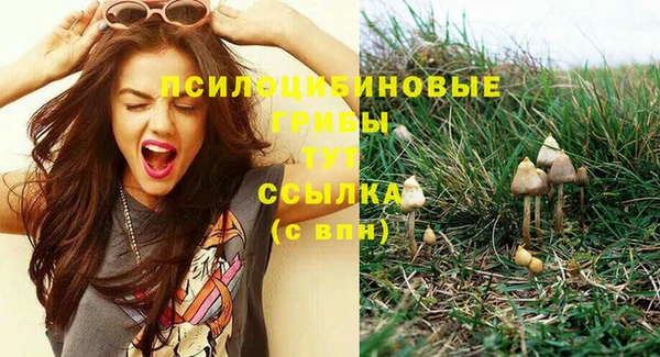 тгк Армянск