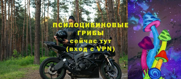 дмт Арсеньев